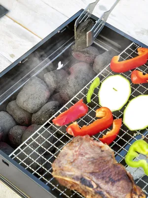 Přenosný skládací gril na dřevěné uhlí BearBQ InnovaGoods