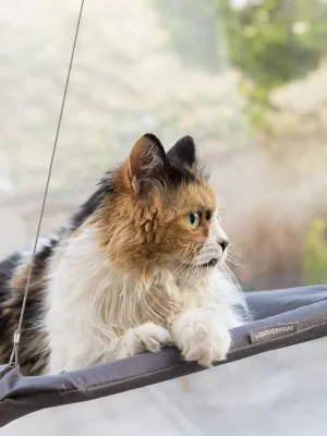 Závěsná hamaka pro kočky Catlax InnovaGoods