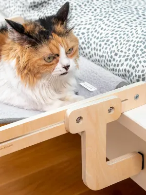 Závěsná hamaka pro kočky Hamacat InnovaGoods