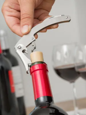 Souprava na Víno Láhev InnovaGoods 5 Kusy
