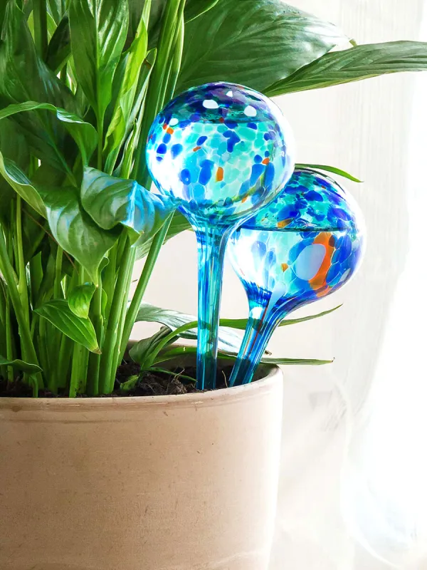 Produkt Automatické zavlažovací koule Aqua·Loon InnovaGoods 2 kusů Obrázek