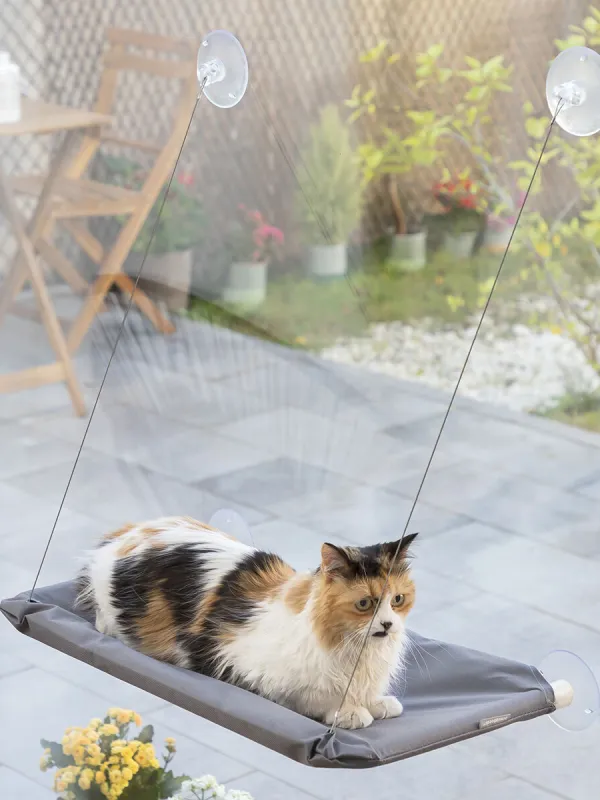 Produkt Závěsná hamaka pro kočky Catlax InnovaGoods Obrázek